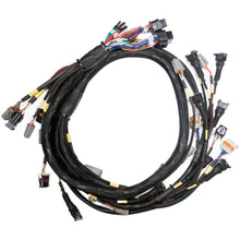 Replacement Base Harness GM LS GEN3/4